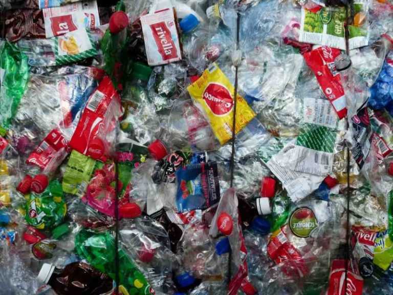 Plastic free fa ancora centro. E a Pavia si torna a raccogliere domenica 3 ottobre