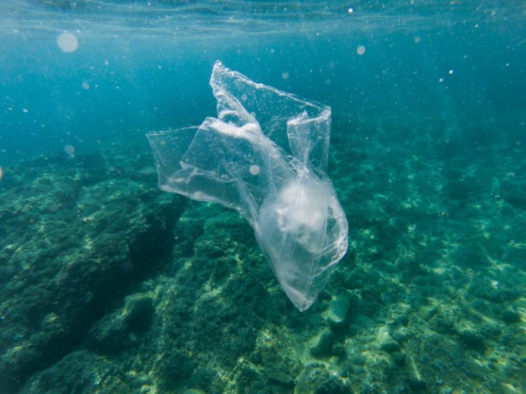 Clean Oceans Initiative, si allarga il fonte di chi protegge gli oceani